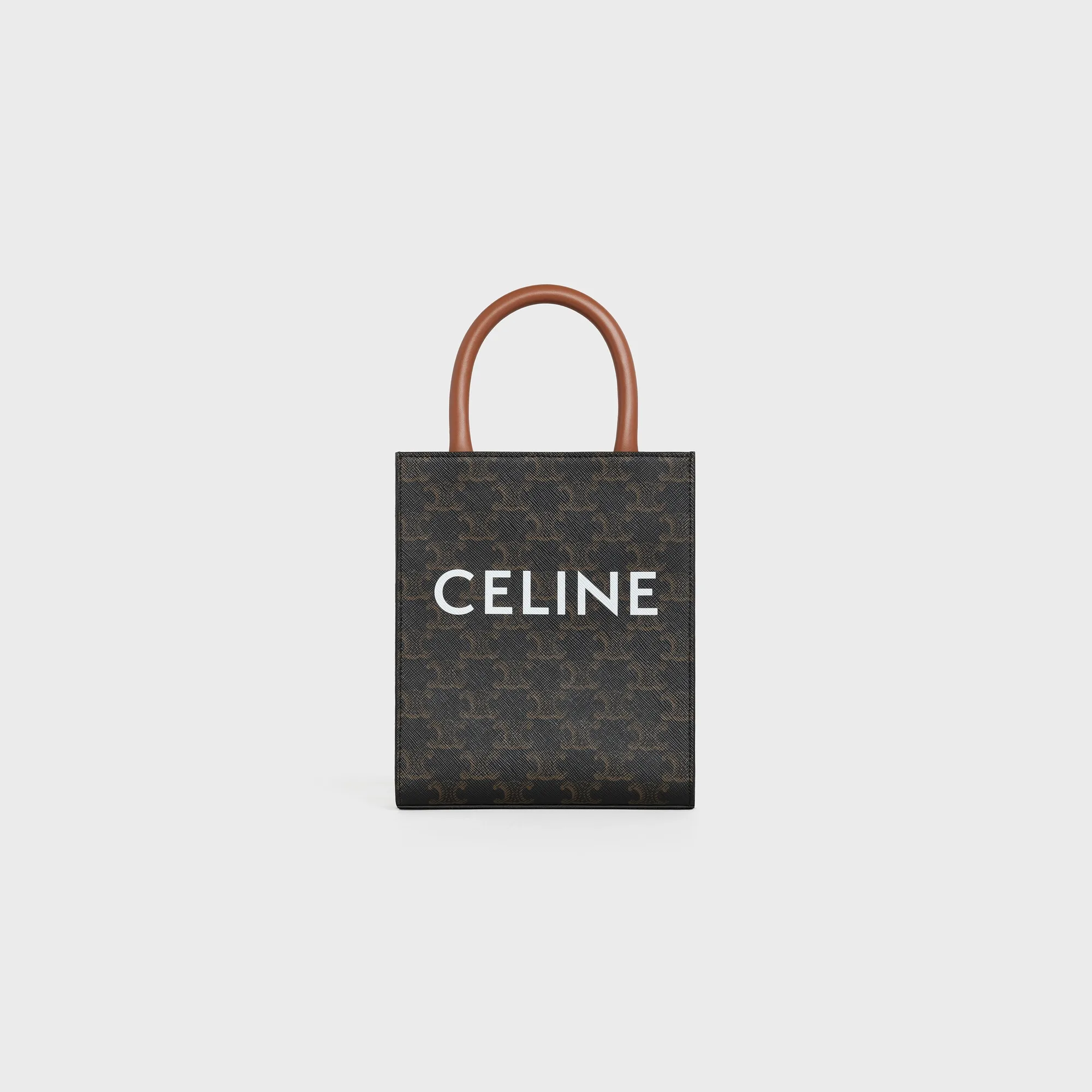 Mini Vertical Cabas in Triomphe Canvas and calfskin with print