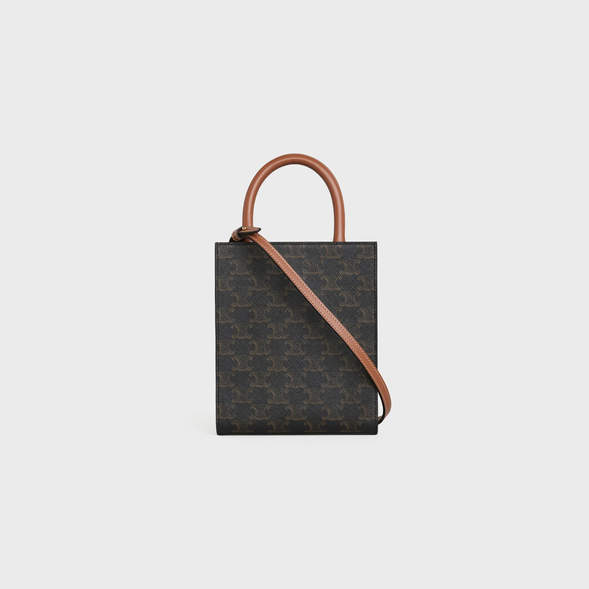 Mini Vertical Cabas in Triomphe Canvas and calfskin with print