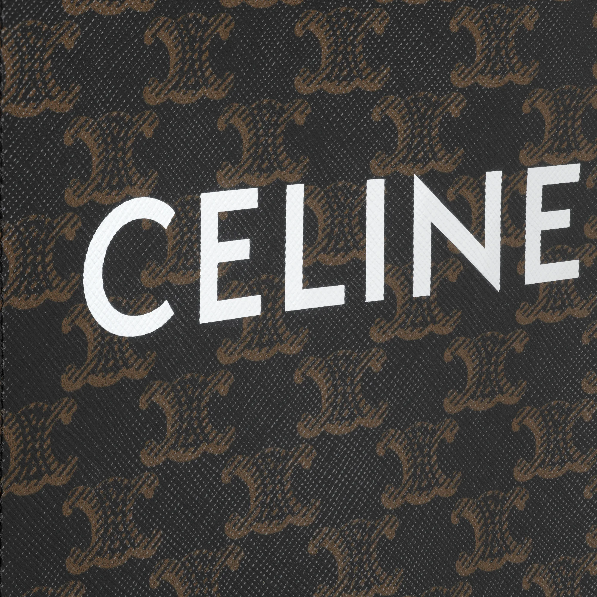 Mini Vertical Cabas in Triomphe Canvas and calfskin with print
