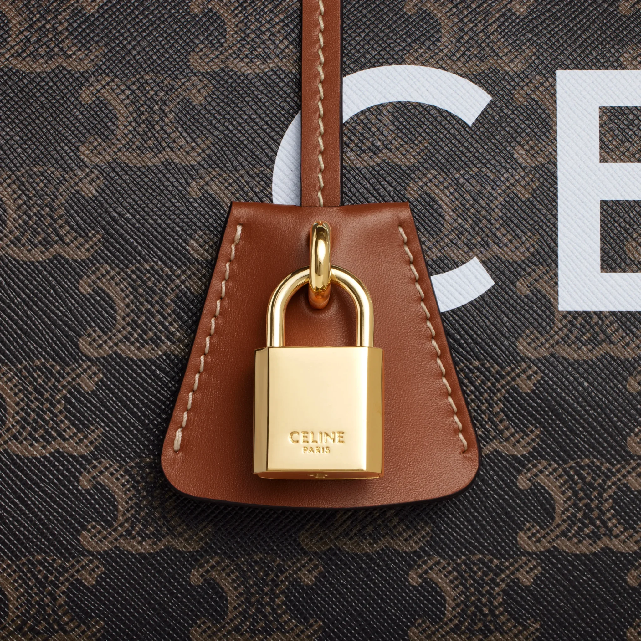 Medium Travel Bag in Triomphe Canvas with Print