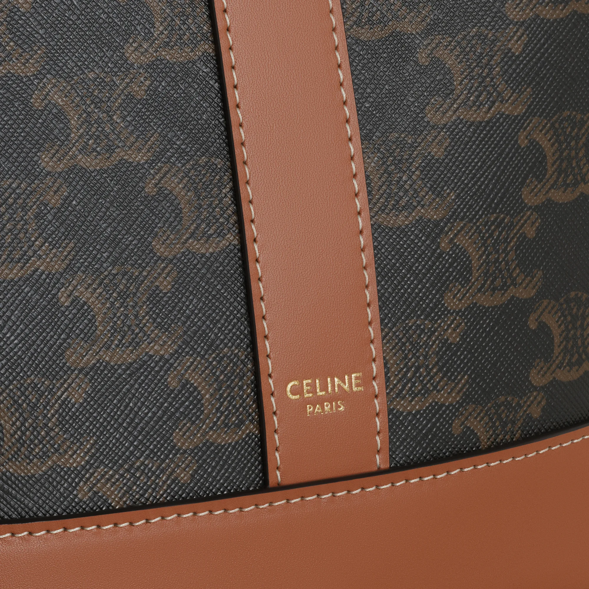 Small Bucket in Triomphe Canvas and calfskin