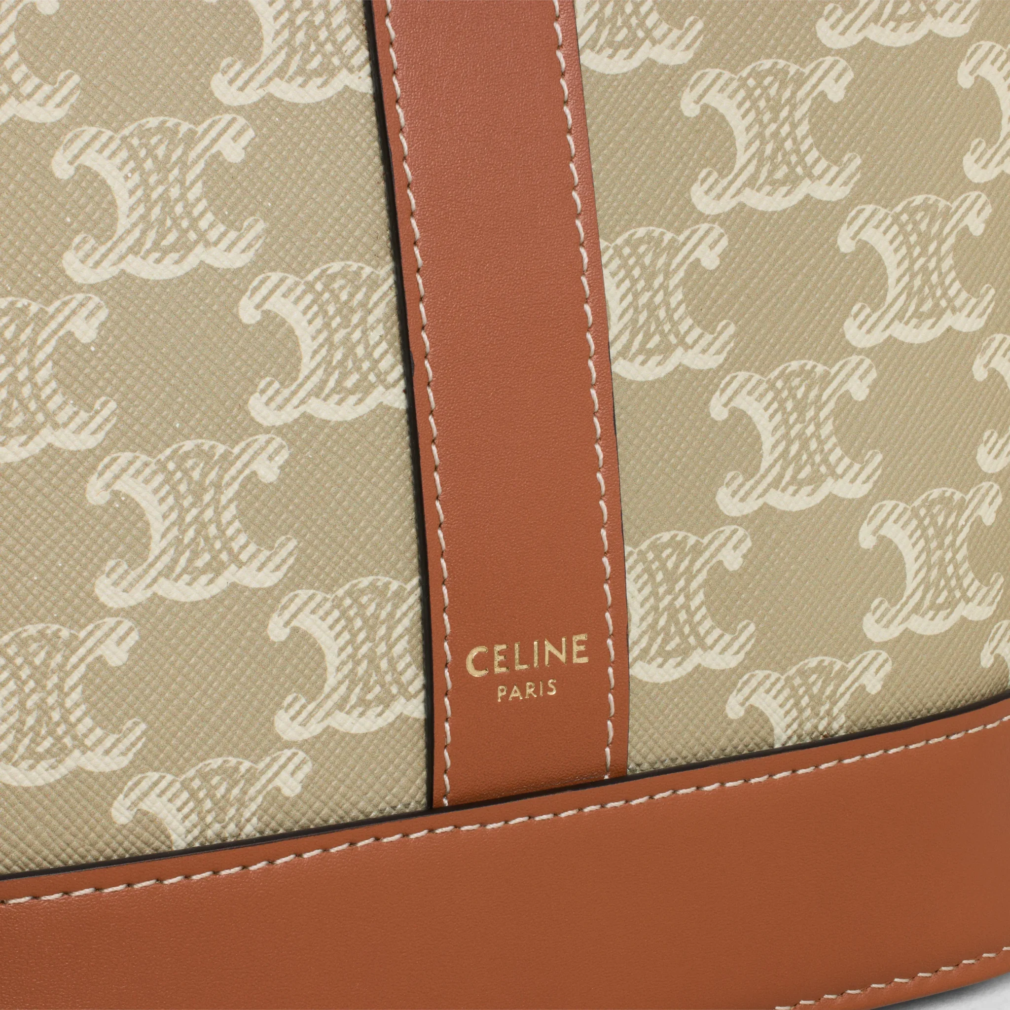 Small Bucket in Triomphe Canvas and calfskin