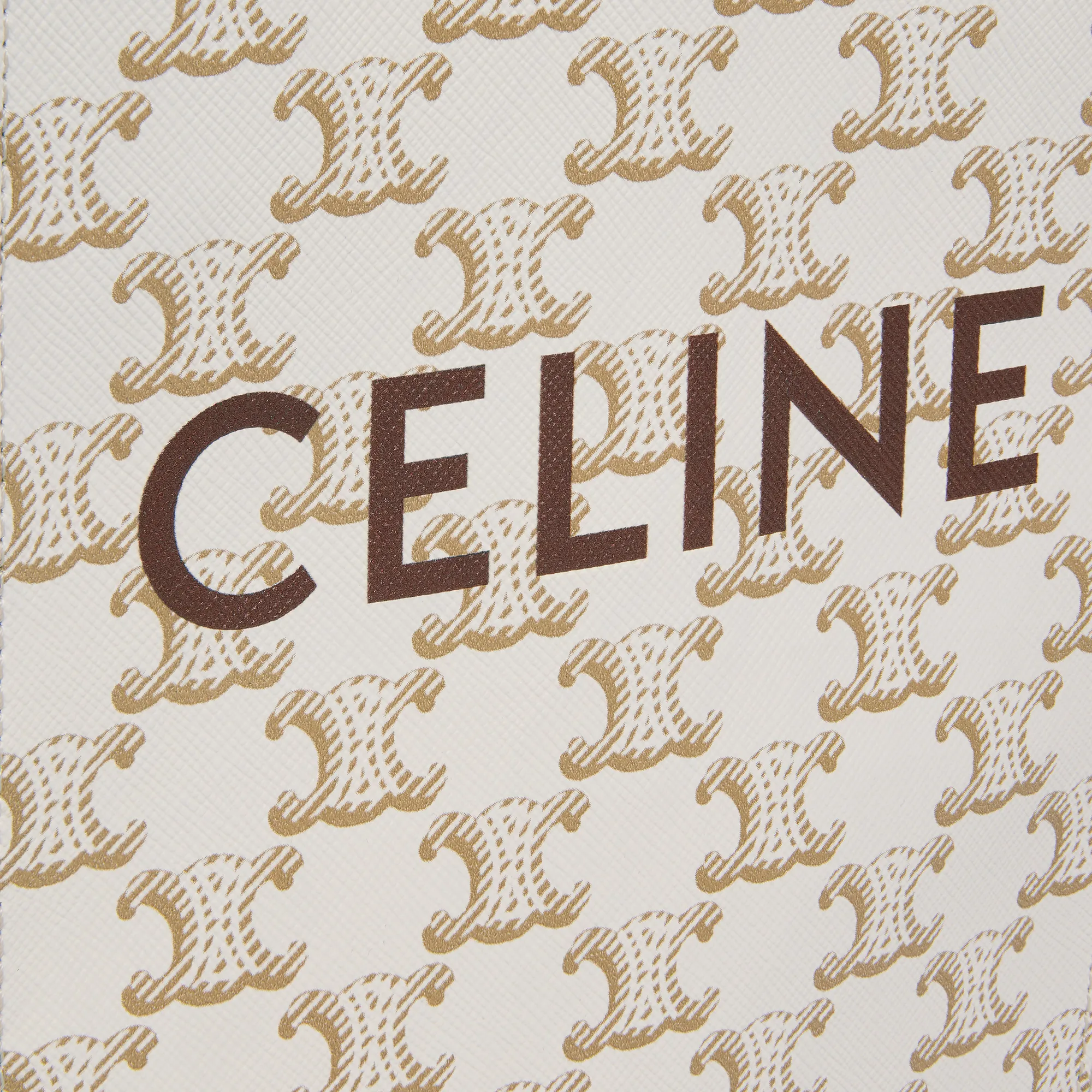 MINI VERTICAL CABAS IN TRIOMPHE CANVAS AND CALFSKIN WITH PRINT