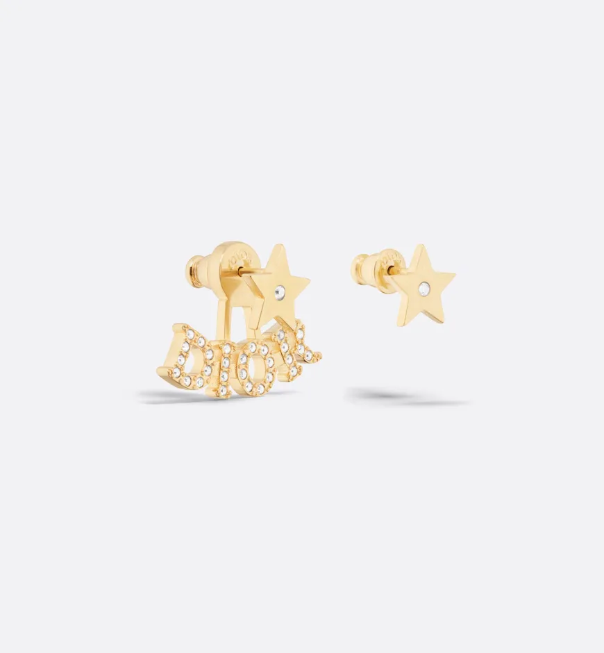 Evolution Earrings