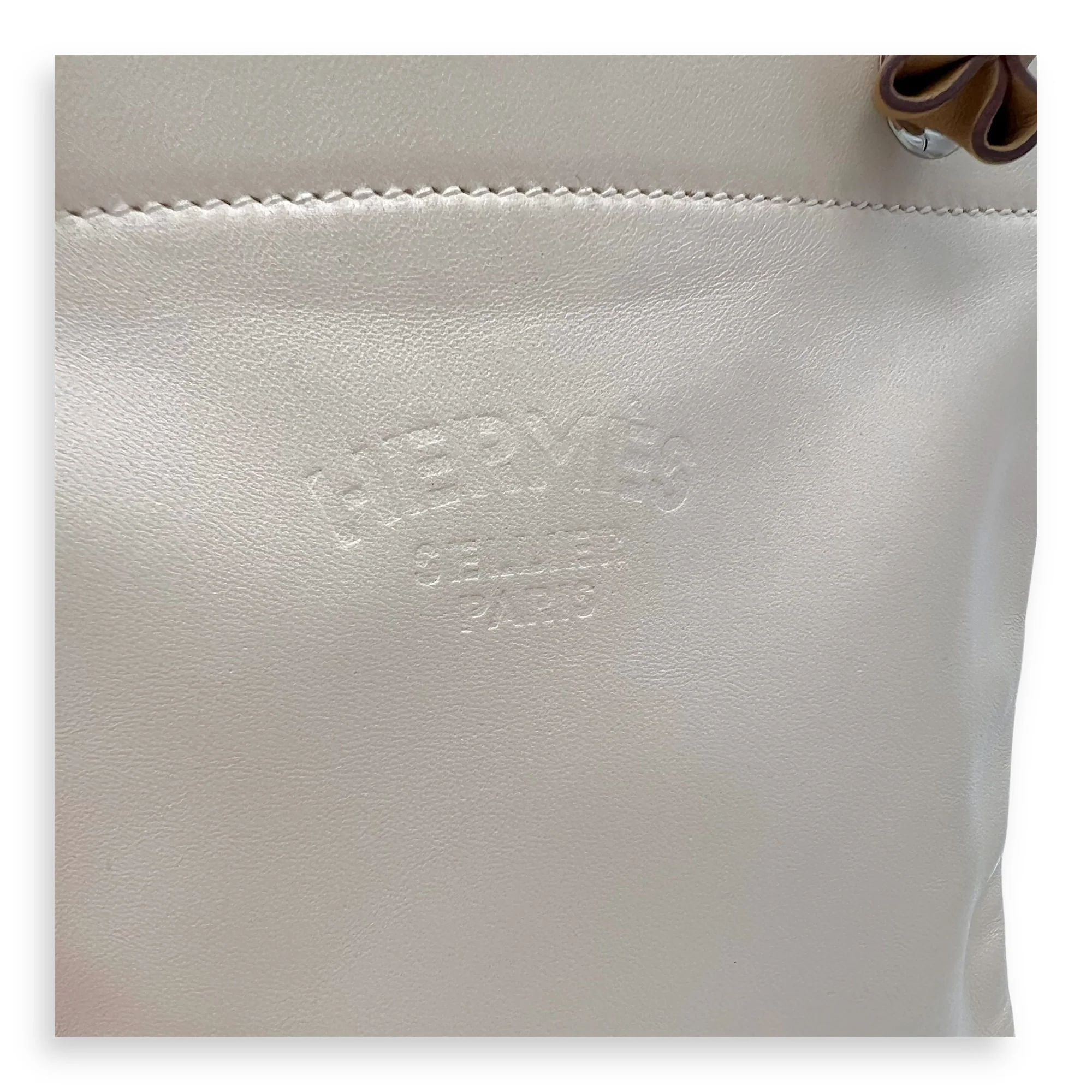 Aline Mini Neutral in Milo Lambskin Swift