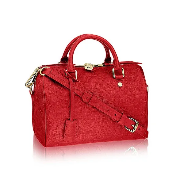 Speedy Bandouliere 25 M41187