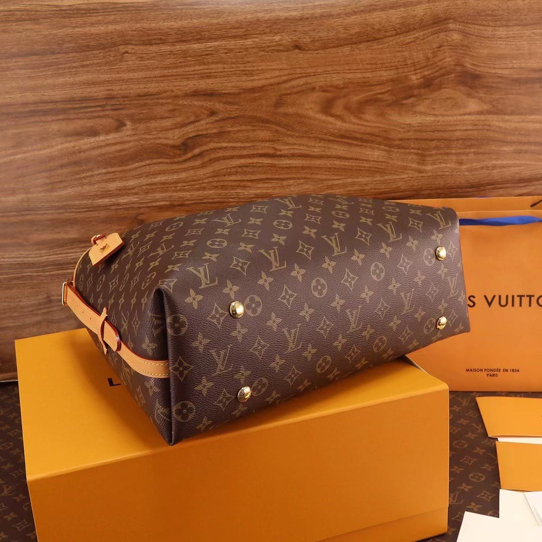 Louis Vuitton CARRYALL MM M46197