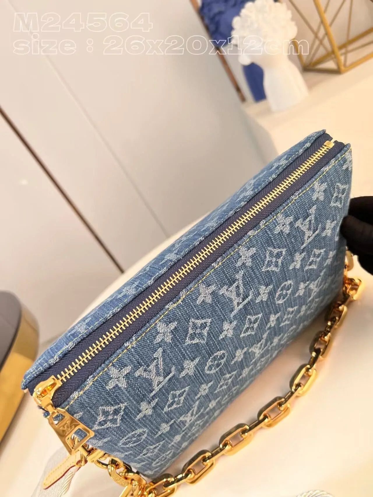 Louis Vuitton M24564 NEW Coussin PM