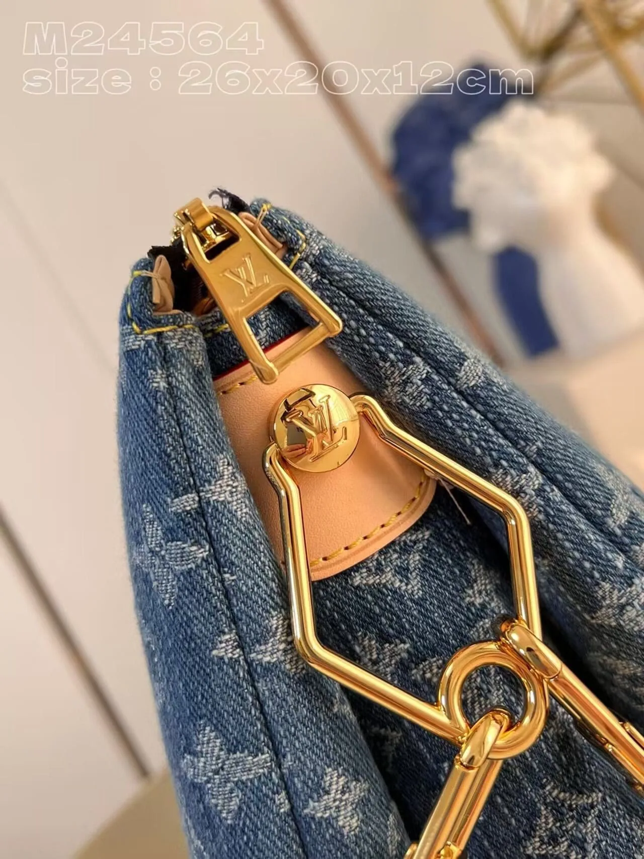 Louis Vuitton M24564 NEW Coussin PM