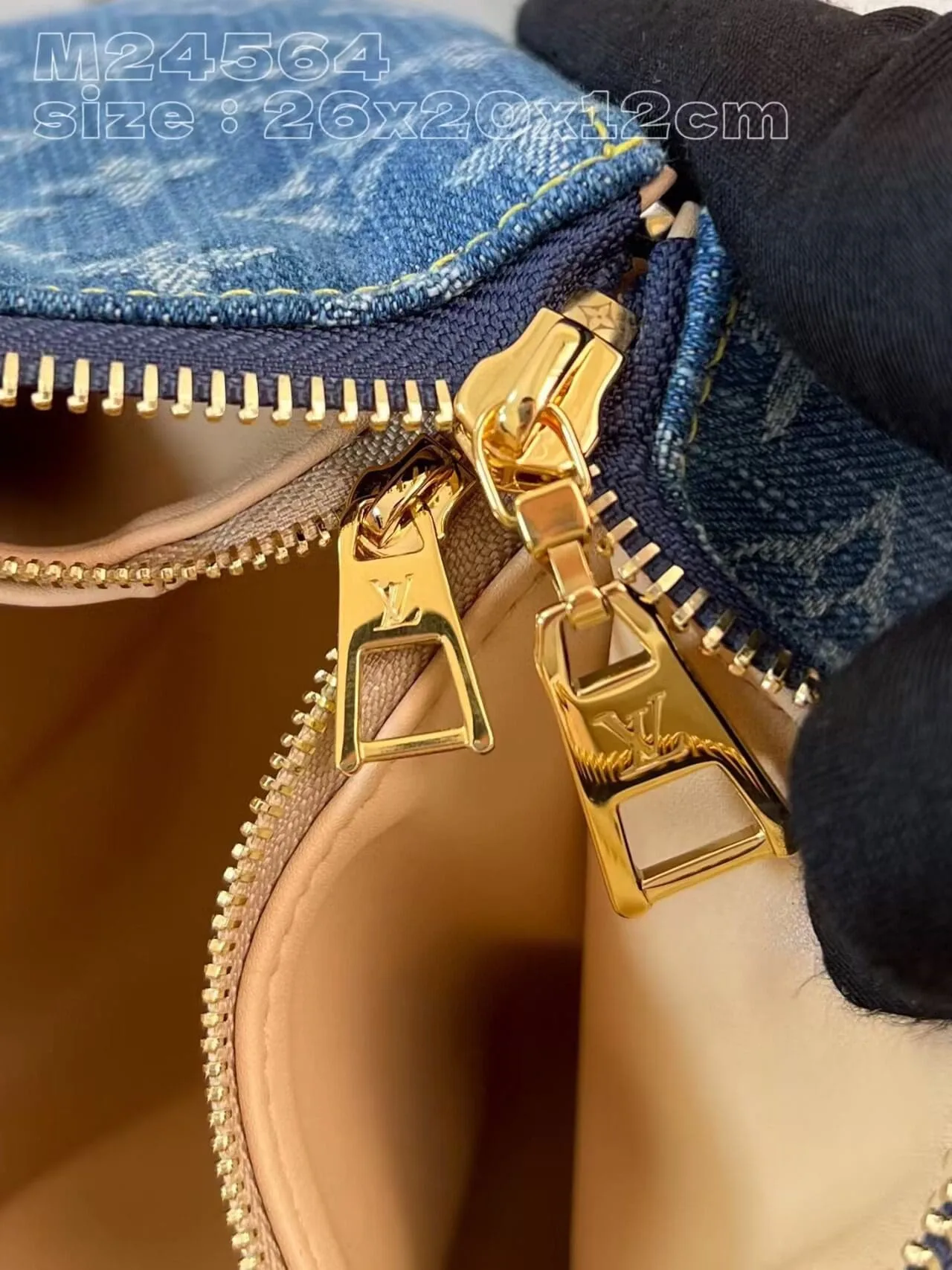 Louis Vuitton M24564 NEW Coussin PM