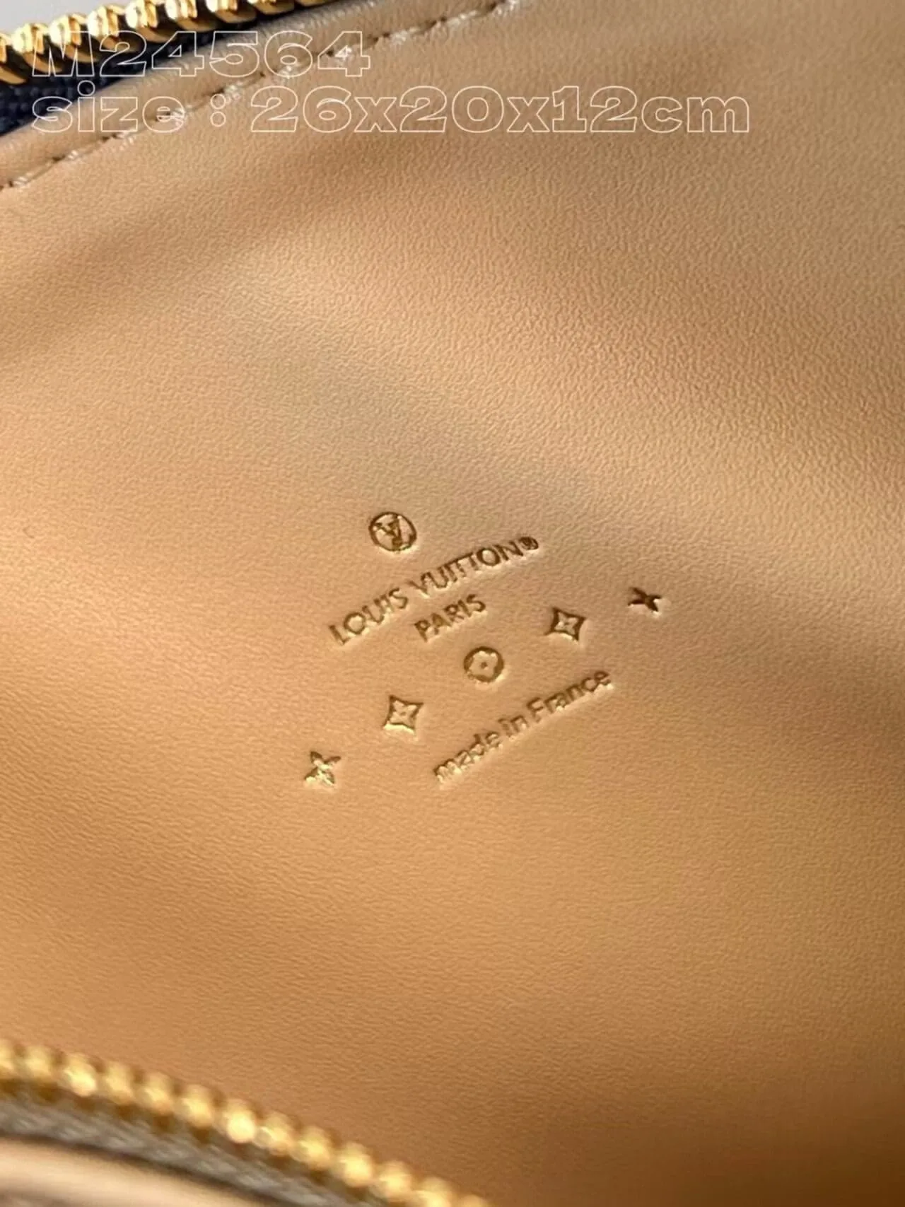 Louis Vuitton M24564 NEW Coussin PM