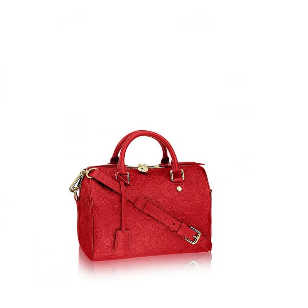 Speedy Bandouliere 25 M41187